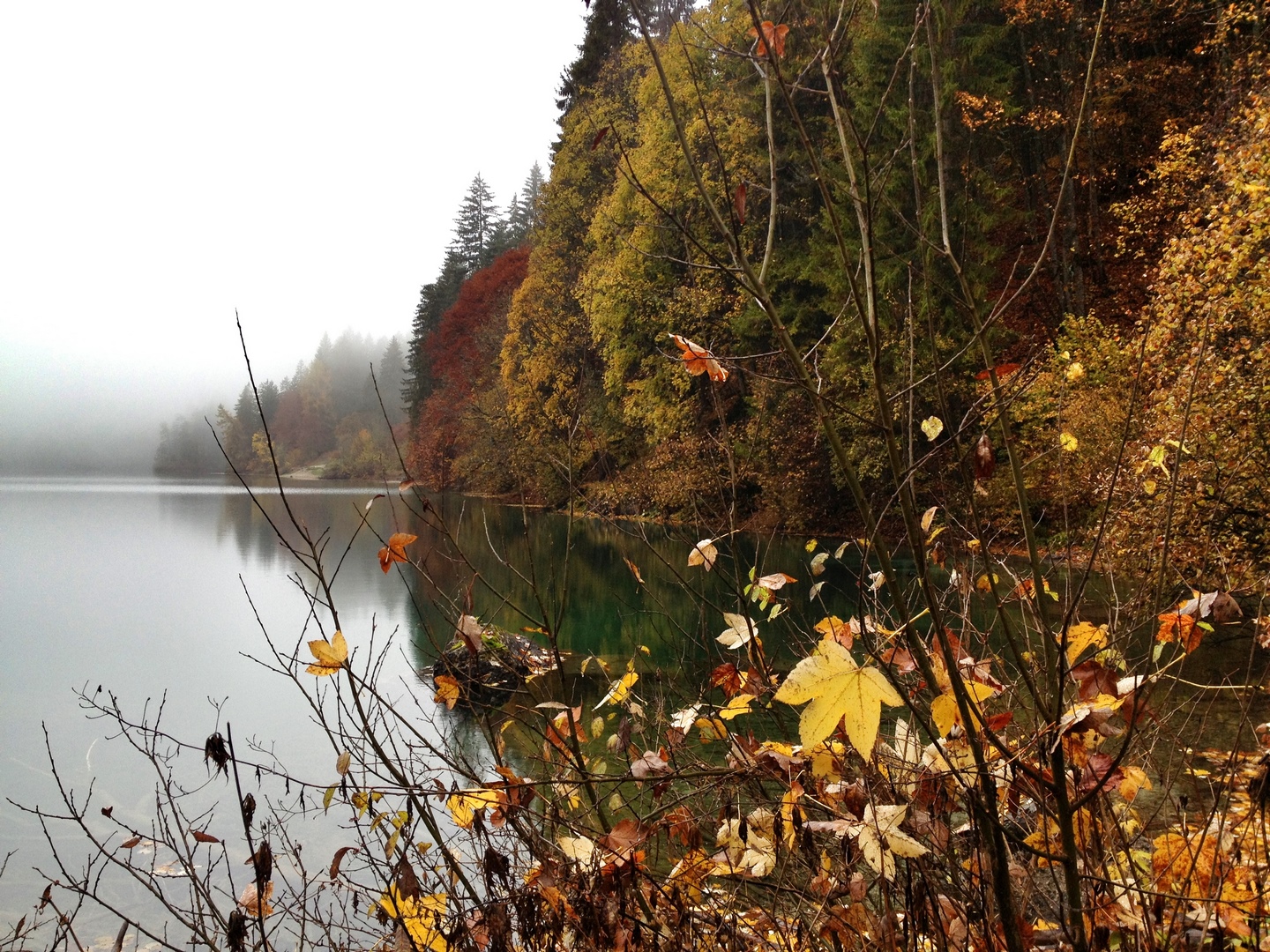 Lago di Tovel autunno